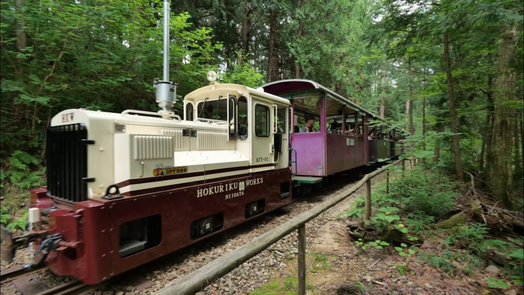 JG☆☆8K HDR 長野 赤沢自然休養林と森林鉄道 Nagano,Akazawa Forest and Railway