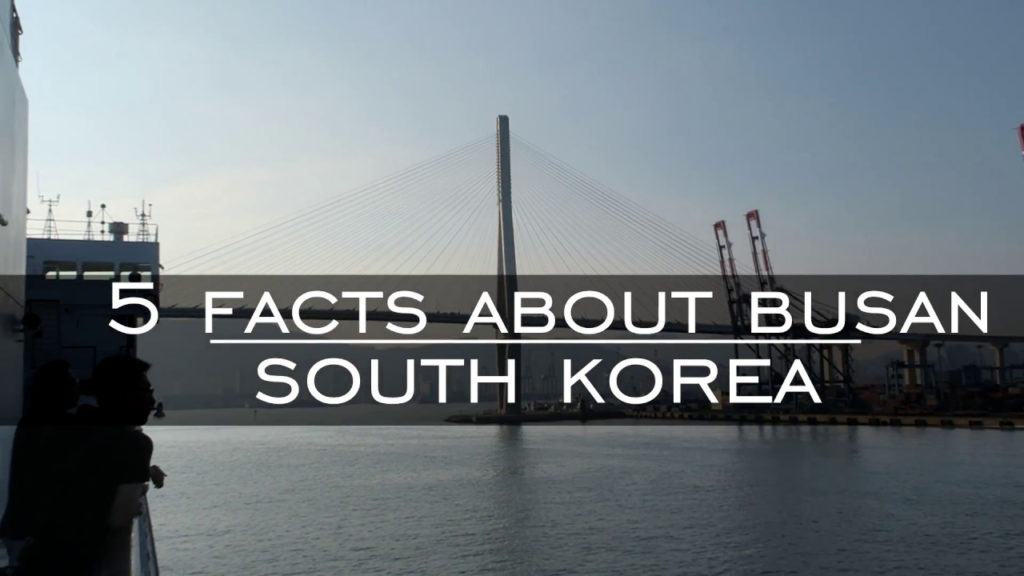 5 Facts about Busan South Korea | Travel Vloggers