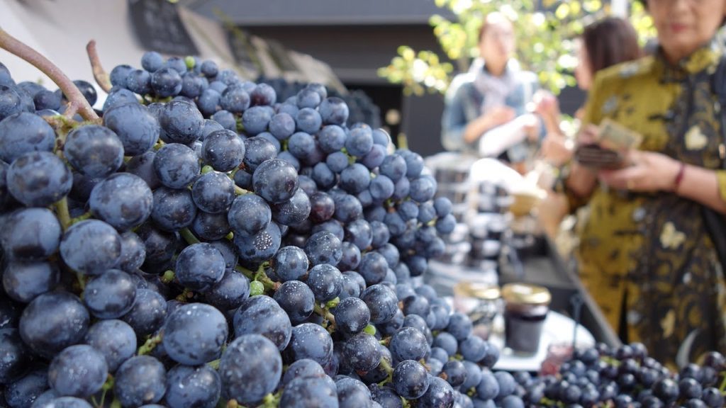 Karuizawa at a glance | Inspiring cities of Japan