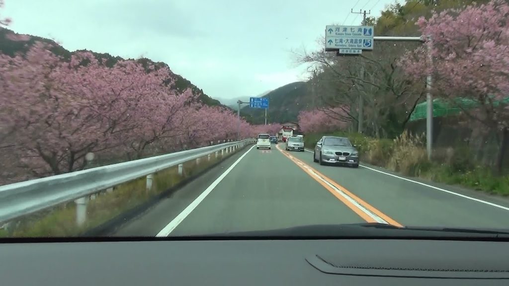 【HD 5.1ch】 静岡 伊豆ドライブ part.3 （Shizuoka Izu drive 3）