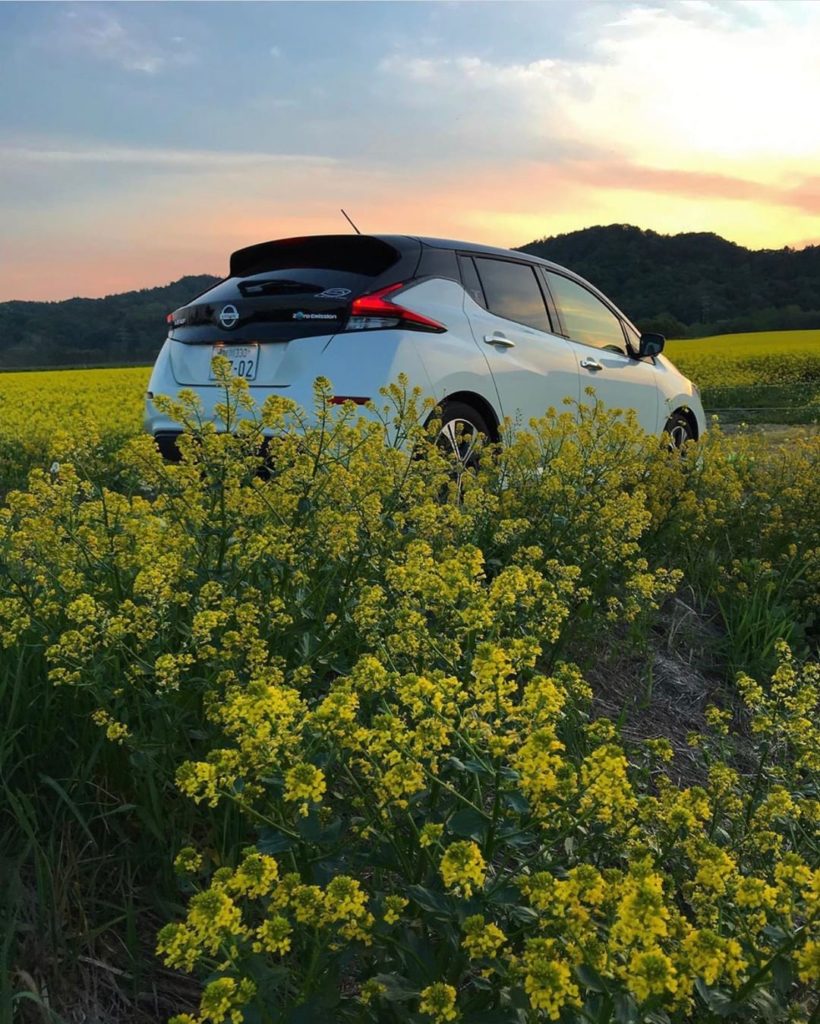 Simply Perfect. #NissanLEAF #SimplyAmazing & @leaflife9702...