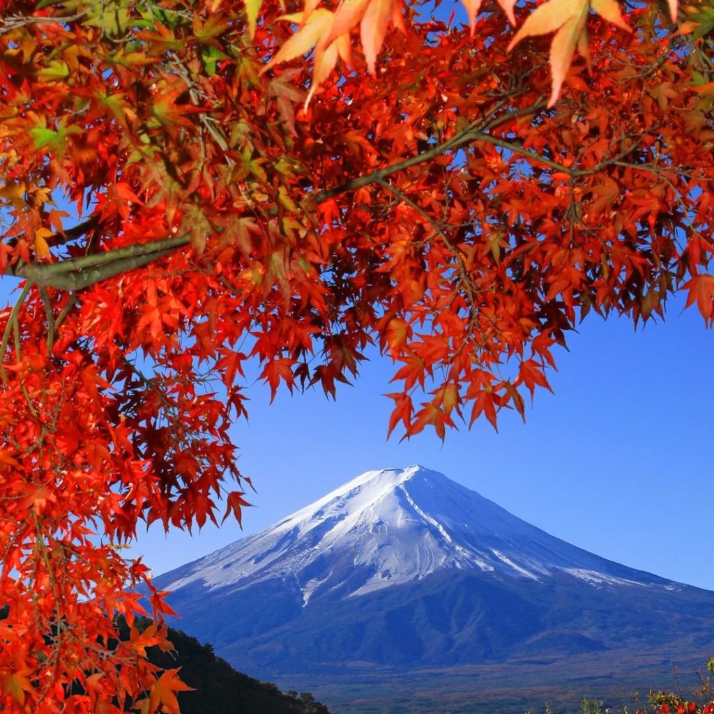 Lake Kawaguchiko is the most easily accessible of the Fuji Five Lakes with train...