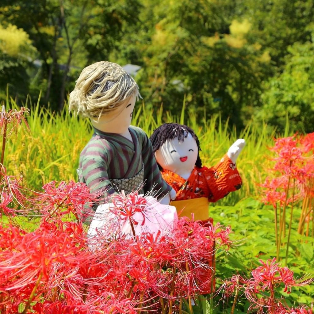 Heading to Nara this September? Take a side trip to check out the cute scarecrow...