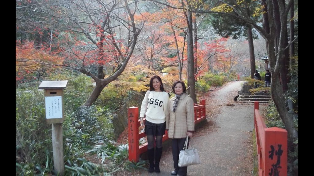 My Japan Trip Day 2 - A Day Trip w/Parents