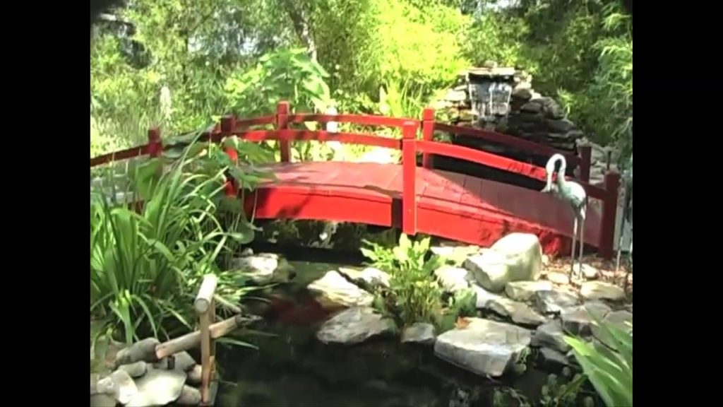 Charleston Pond Tour #1 of 8