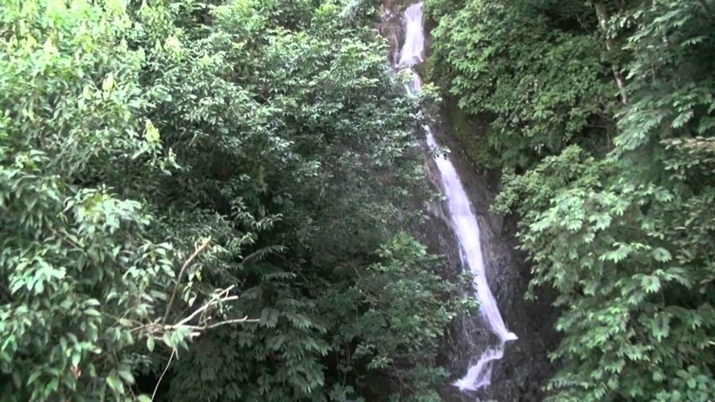 Rain Forest Aerial Tram, Costa Rica