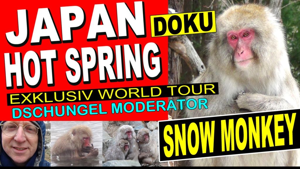Snow Monkey Japan Schneeaffen - Hot Spring Jigokudani, Monkey Park, Nagano
