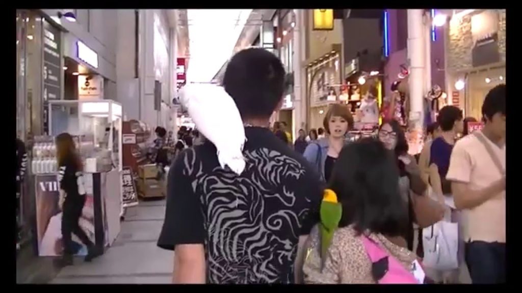 HYPERJAPAN J-Pop & Go Tour! - InsideJapan Tours