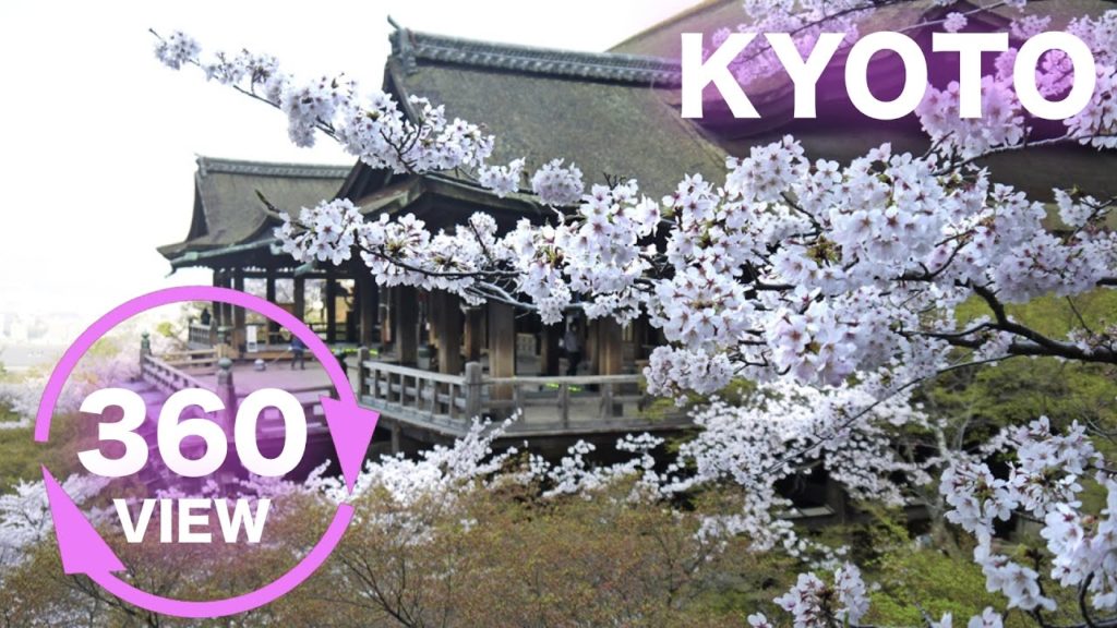 【360 Video VR 4K】 The world's fastest cherry blossoms tour (Kyoto)