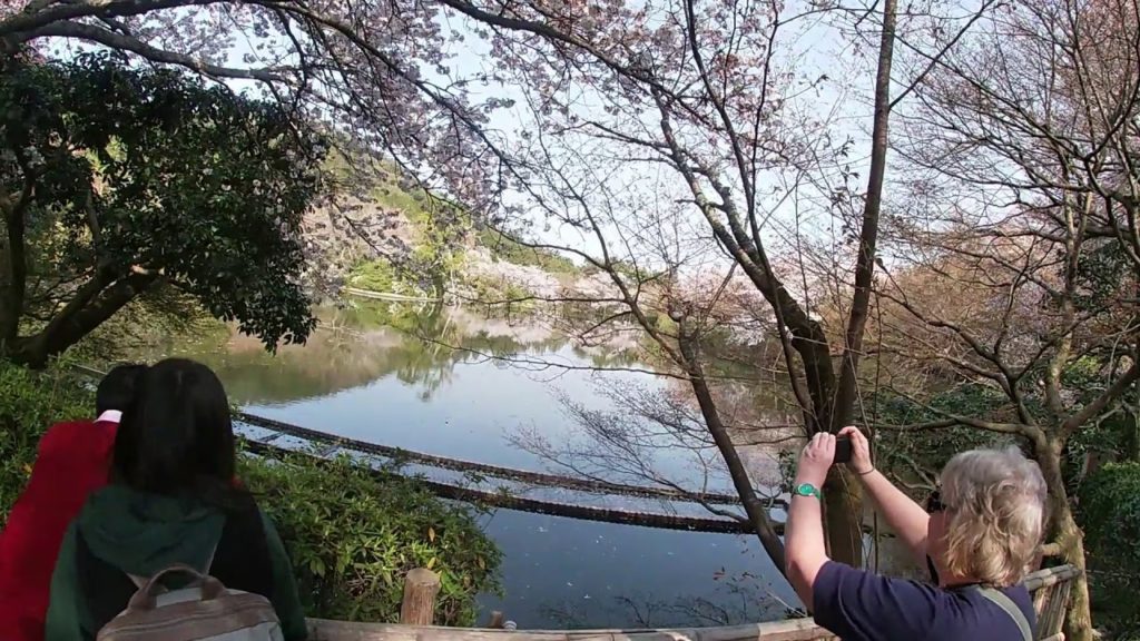 Boyds on tour 2019 (Japan) Day 5 Part 2 Kyoto Temples