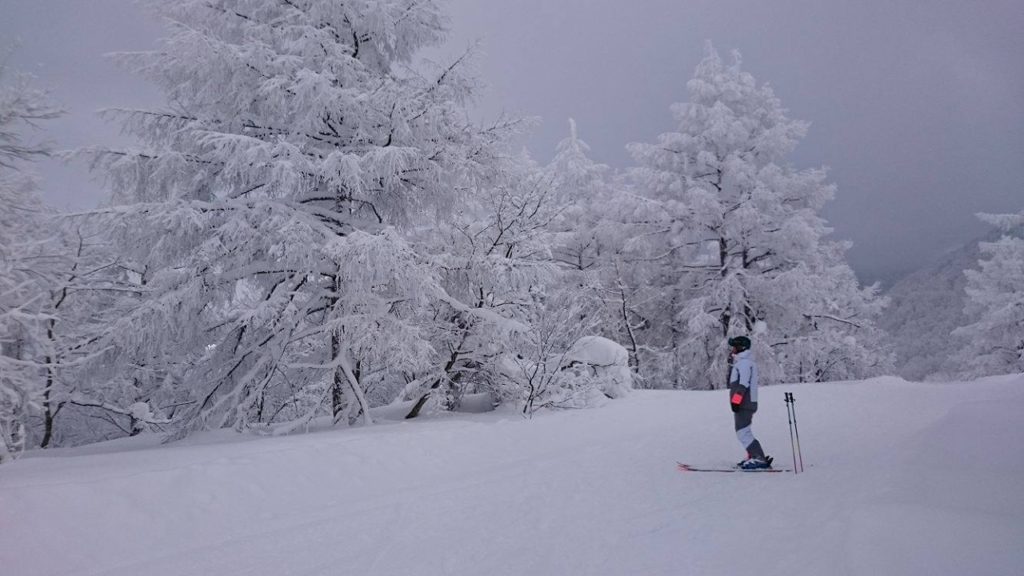 Yamagata Powder Tour 2017 vol.1 - Zao Onsen Ski Area