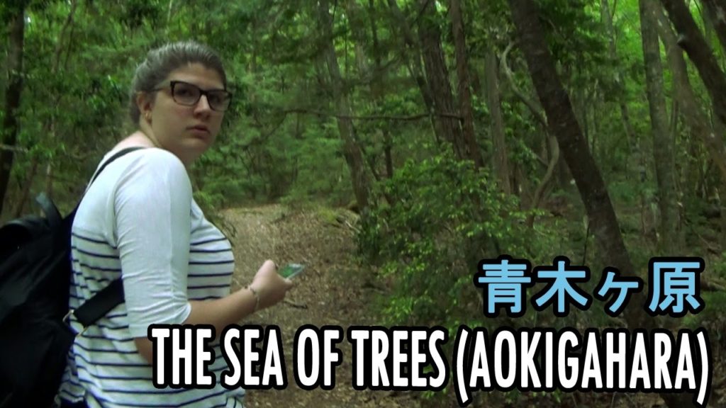 Exploring Aokigahara (The Sea of Trees) [Japan Trip 2016 Day 11]