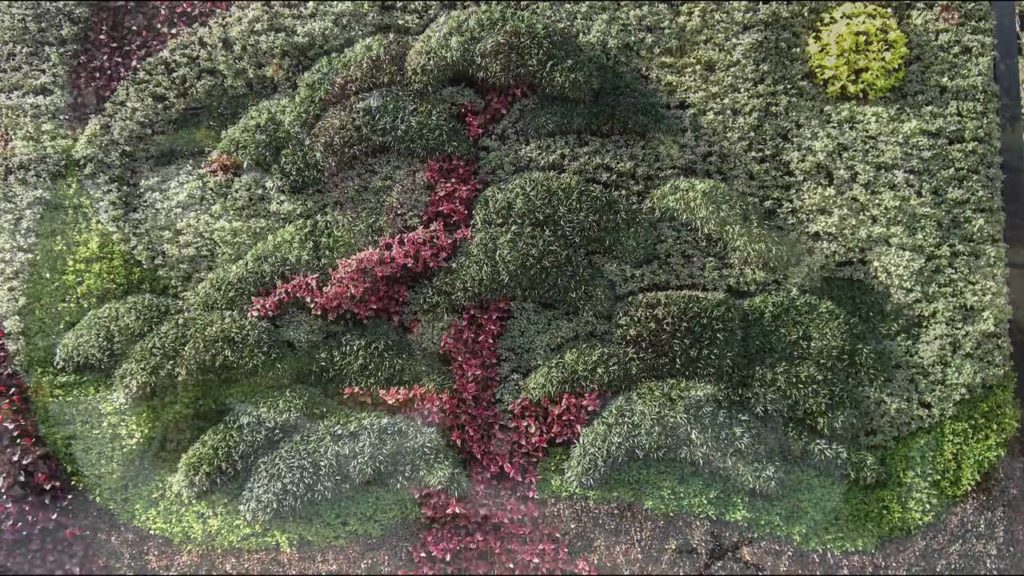 Hamamatsu International Mosaicultures 2009 ☆