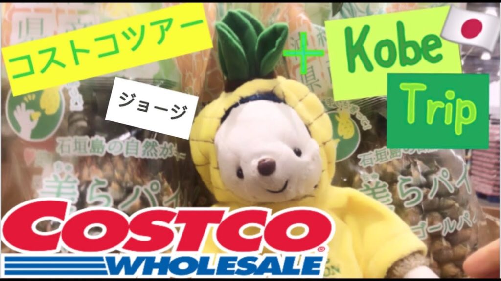 【旅ブログ🇯🇵】尼崎コストコ＋神戸 Japan Costco Tour + Kobe