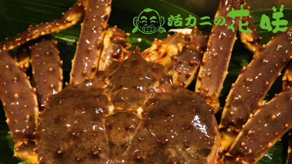[ Sapporo Susukino(Hokkaido)：Crab ]HANASAKI