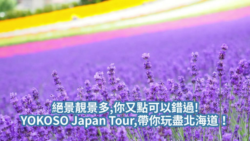 北海道2017夏天　YOKOSO Japan Tour & Hotel