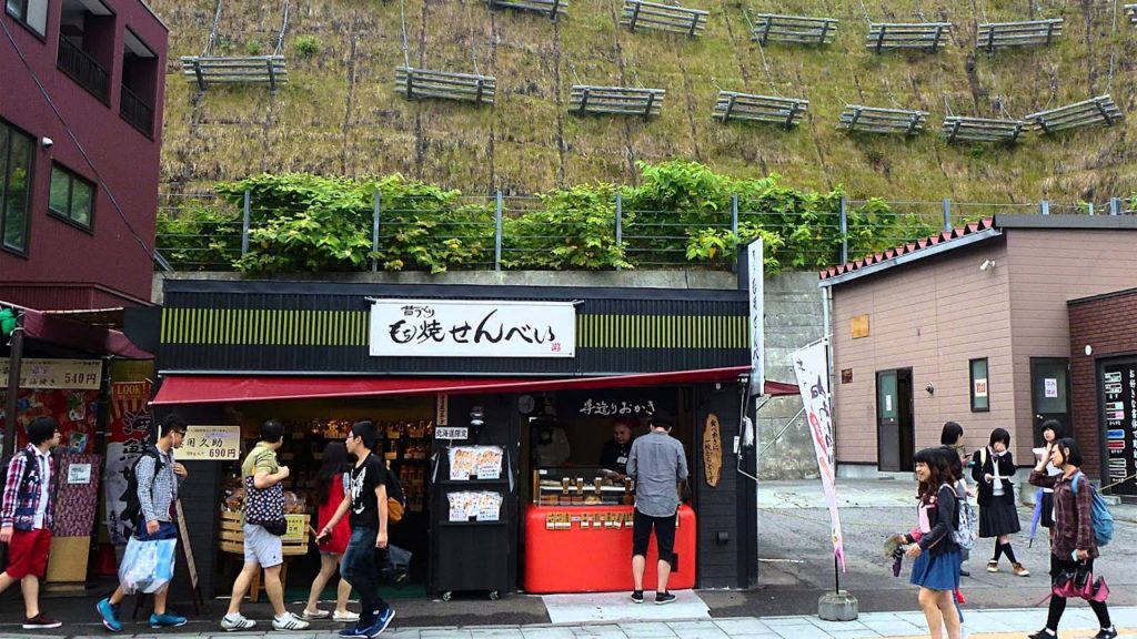 Japan Cruise (9 day) 2015