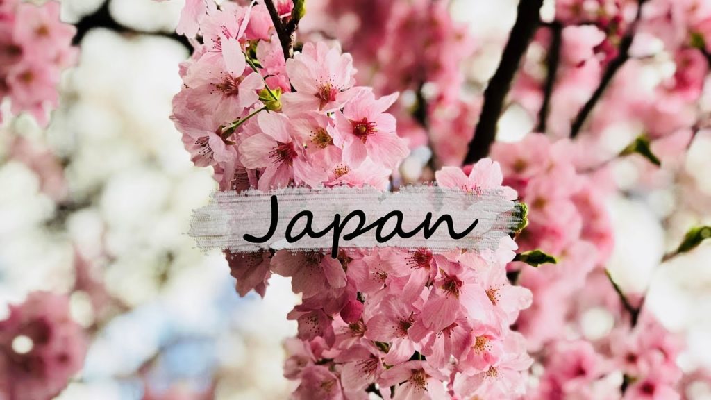 Tokyo, Japan - Travel Film