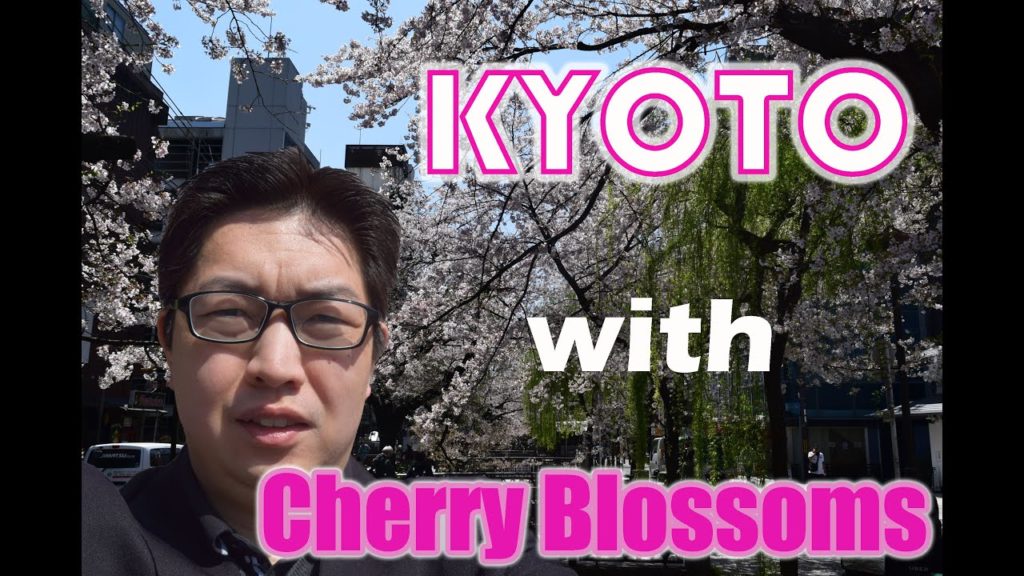 [日本語字幕] Kyoto Temple Tour with Cherry Blossoms
