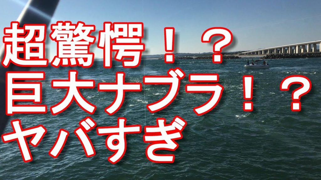 【遠州釣り倶楽部】浜松市・浜名湖釣り！今切口！超驚愕！超巨大なナブラ！イナダ、ワラサ（ハマチ）、ブリが大漁！Lake Hamana in Hamamatsu city in Japan