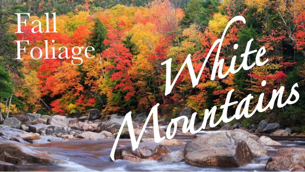 FALL FOLIAGE IN NEW HAMPSHIRE  |  CLOUDY DAY FALL FOLIAGE IN NEW HAMPSHIRE  |  CLOUDY DAY