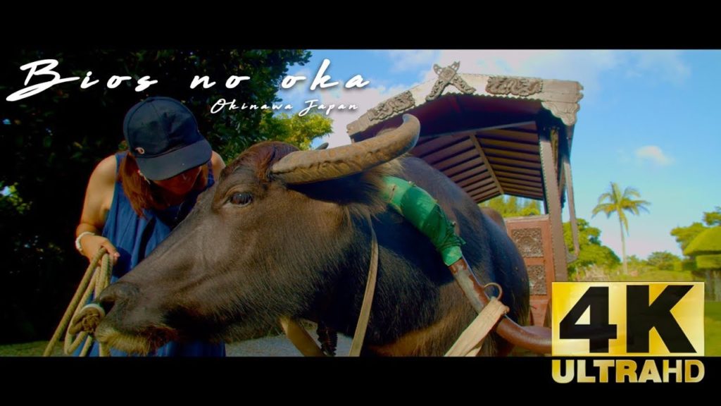 Things to do in Okinawa Japan : Bios no oka