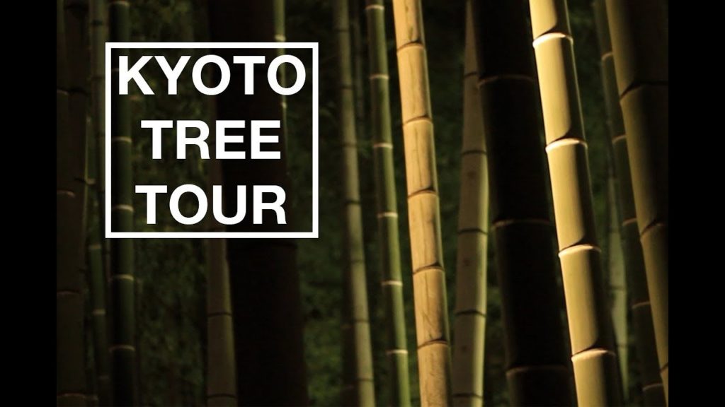 KYOTO TOUR | KITAYAMA