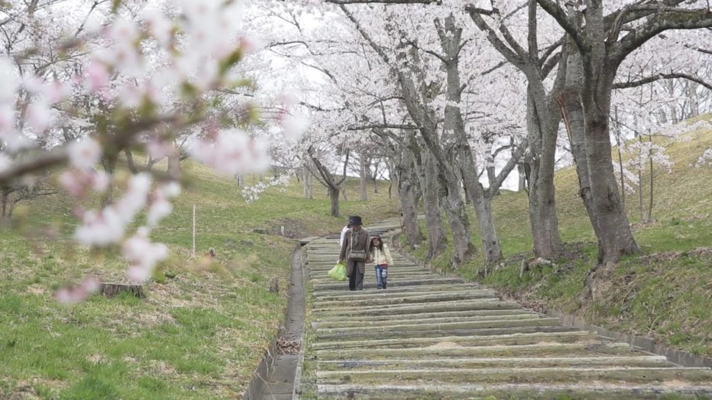 2014 Tōhoku Sakura Tour—Takiyama Park in Higashimatsushima