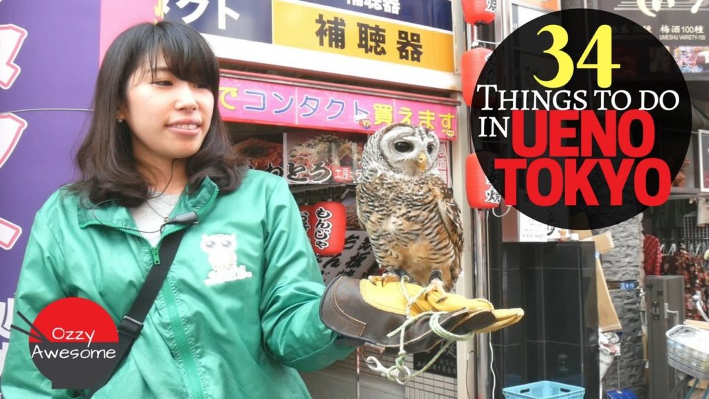 34 Things To Do In UENO TOKYO!  (Most are Cheap or Free!)