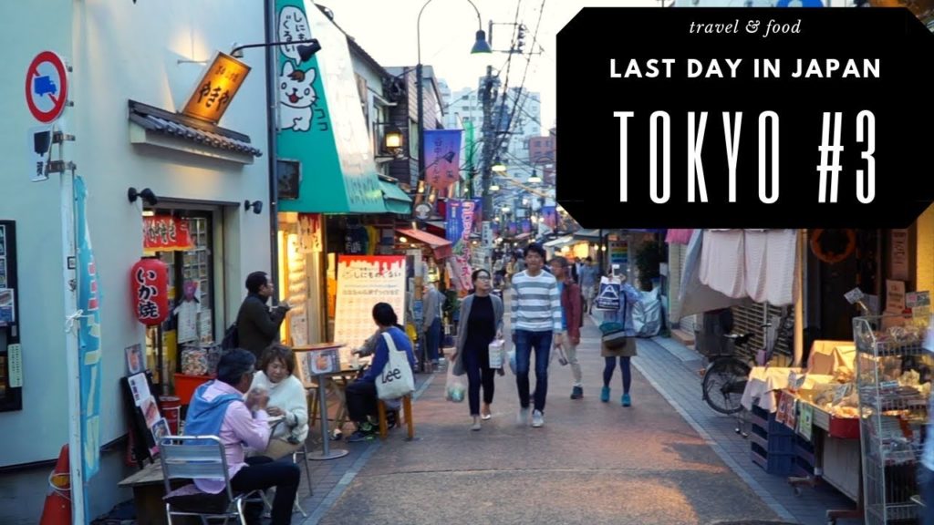 JAPAN TRAVEL: TOKYO RETURN Part #2 Day 20