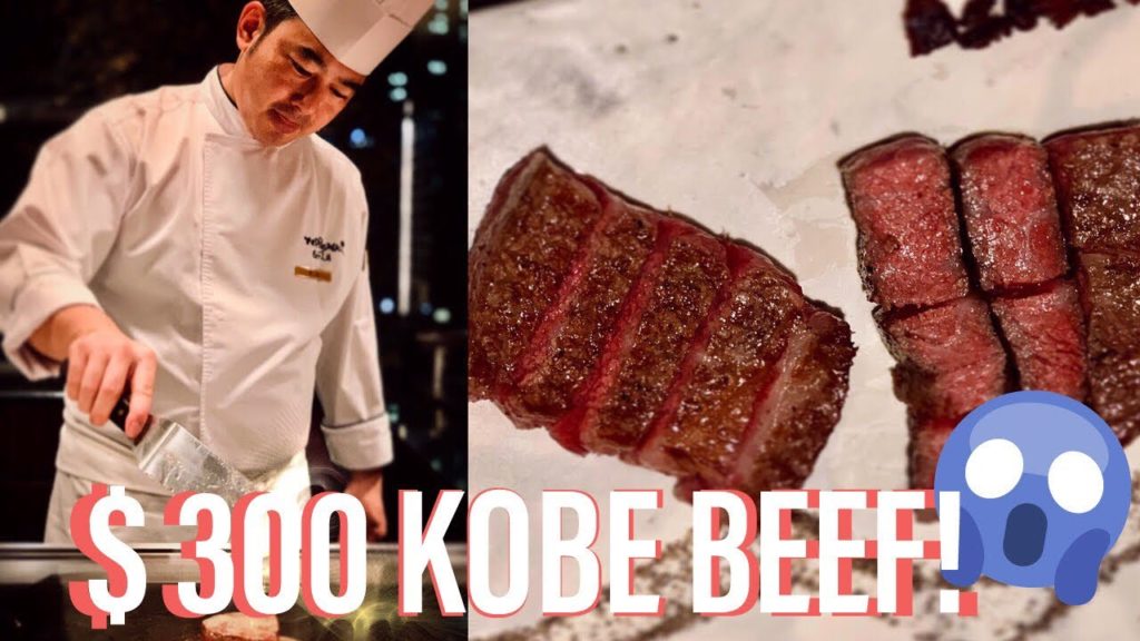 😱$300 KOBE BEEF?  || Hyatt Regency Hotel Tokyo Japan