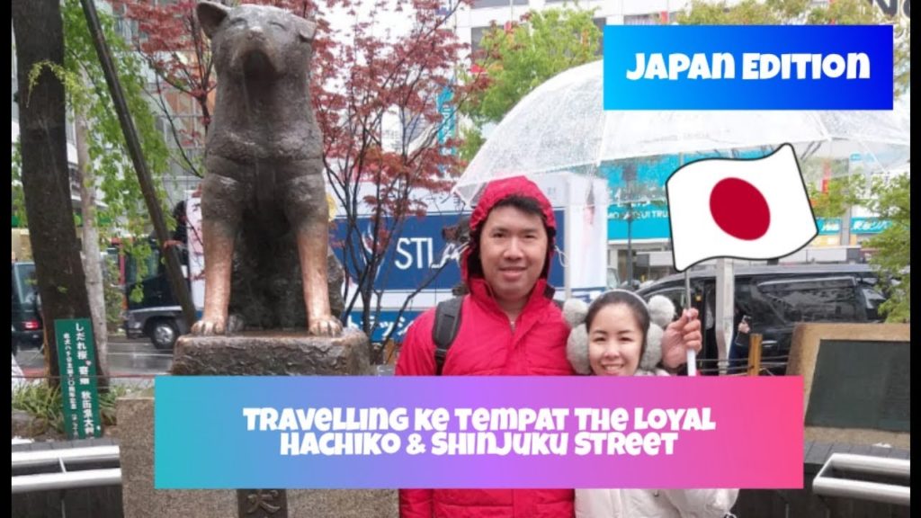 TOKYO TRAVEL GUIDE, The Loyal Hachiko, Shibuya Street, Tokyo Sky Tree. (Japan Edition)