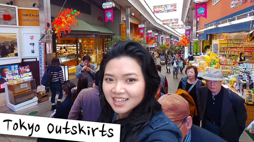 Visit Tokyo Country Towns! JAPAN VLOG 日本自由行 #5 Visit Tokyo Country Towns! JAPAN VLOG 日本自由行 #5
