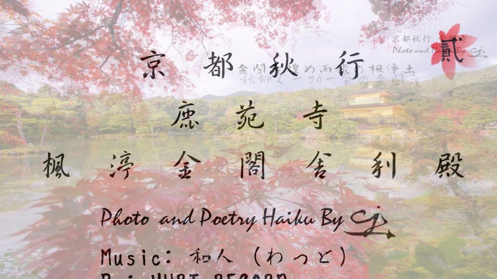 [4K]京都紅葉 錦秋の金閣寺(二)Kinkakuji ( Rokuon-ji ) Temple maple in Early autumn on November, Kyoto, Japan.