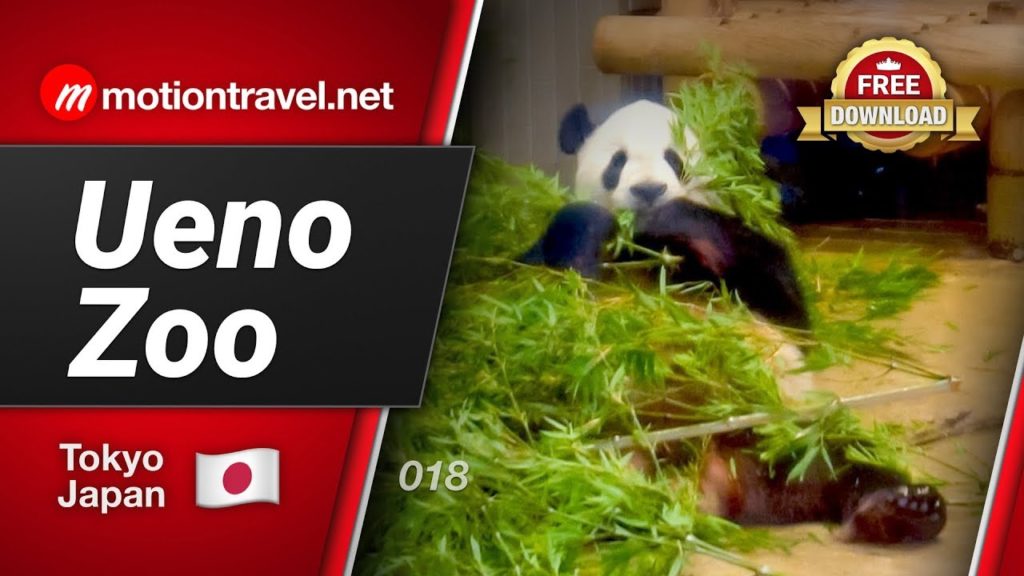 TOKYO TRAVEL GUIDE: Ueno Zoo, Tokyo, Japan