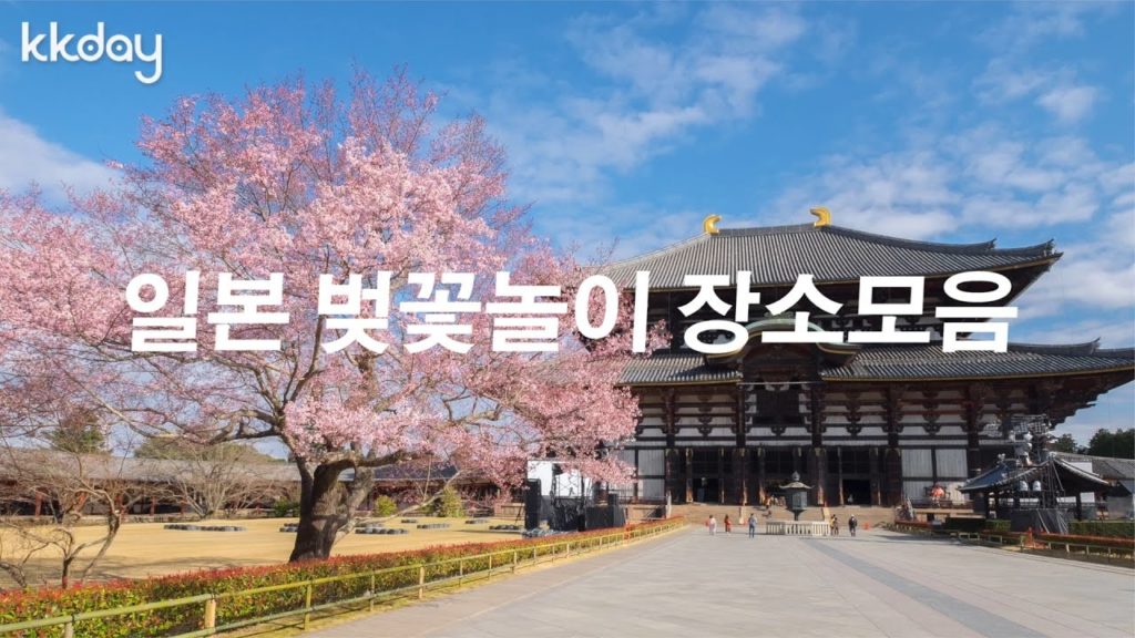 일본여행|일본 벚꽃놀이 장소모음! 벚꽃보기 제일 좋은 14곳! (KKday) 일본여행|일본 벚꽃놀이 장소모음! 벚꽃보기 제일 좋은 14곳! (KKday)