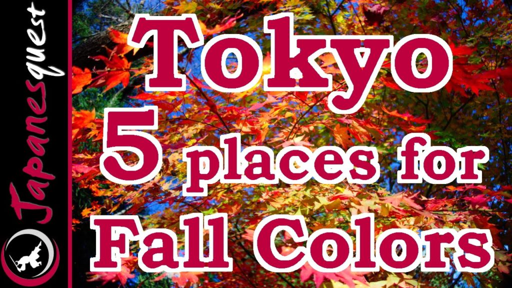 Top 5 Places to See the Fall Colors of Tokyo!