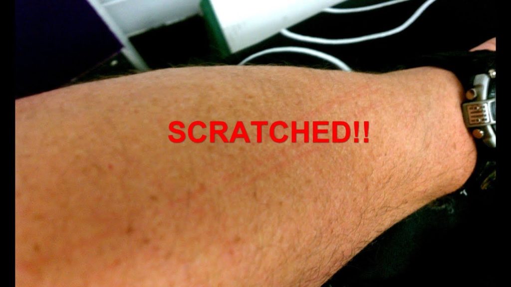 SCRATCHED!!! Okinawa or New Orleans?