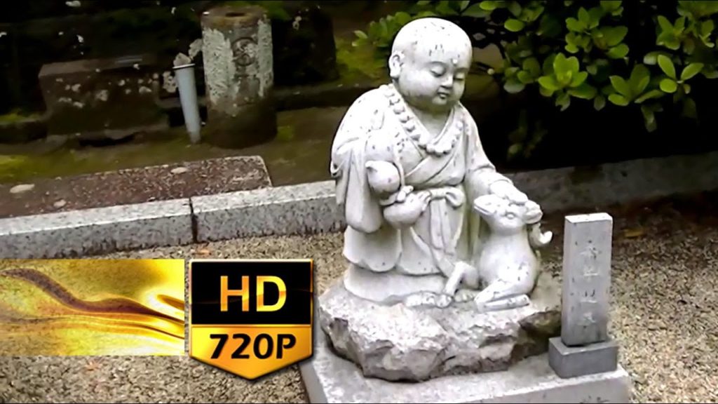 192. Rainy Sunday at HayashiKaoru Buddist Temple in Sendai City - Japan