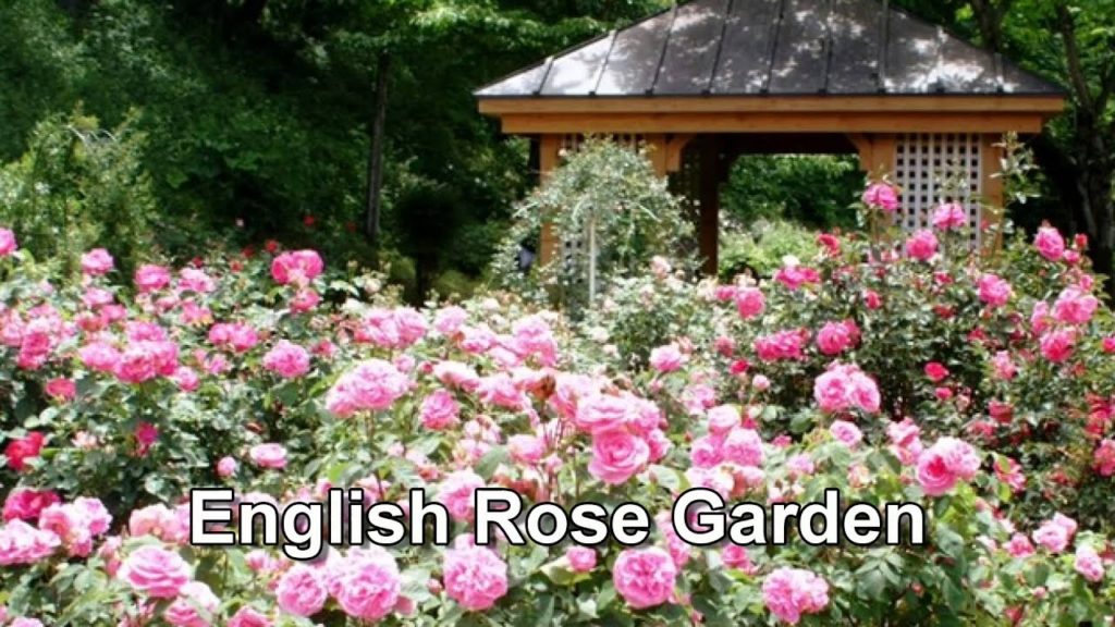 Japan Trip: Relaxing and Rejuvenating  at Karuizawa Taliesin, Nagano, 54