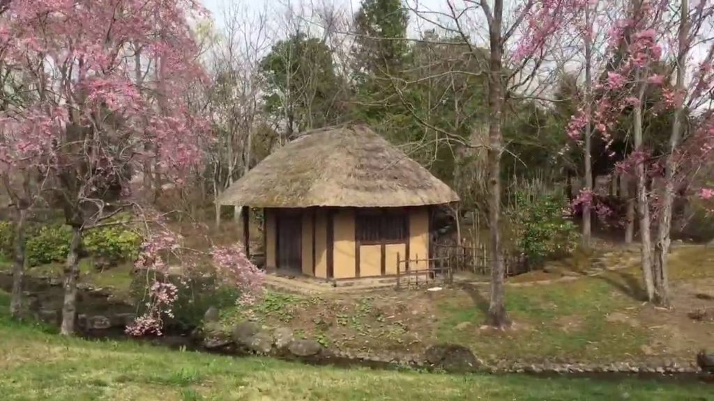Sakura trees and flowers,  Michinoku Lakeside Park, Japanese style houses, Miyagi, Sendai, Japan