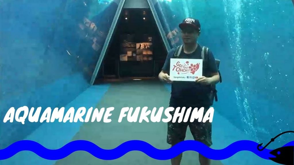 Aquamarine Fukushima – Aquarium – Go!Go!Tohoku!! Japan Travel Aquamarine Fukushima - Aquarium - Go!Go!Tohoku!! Japan Travel
