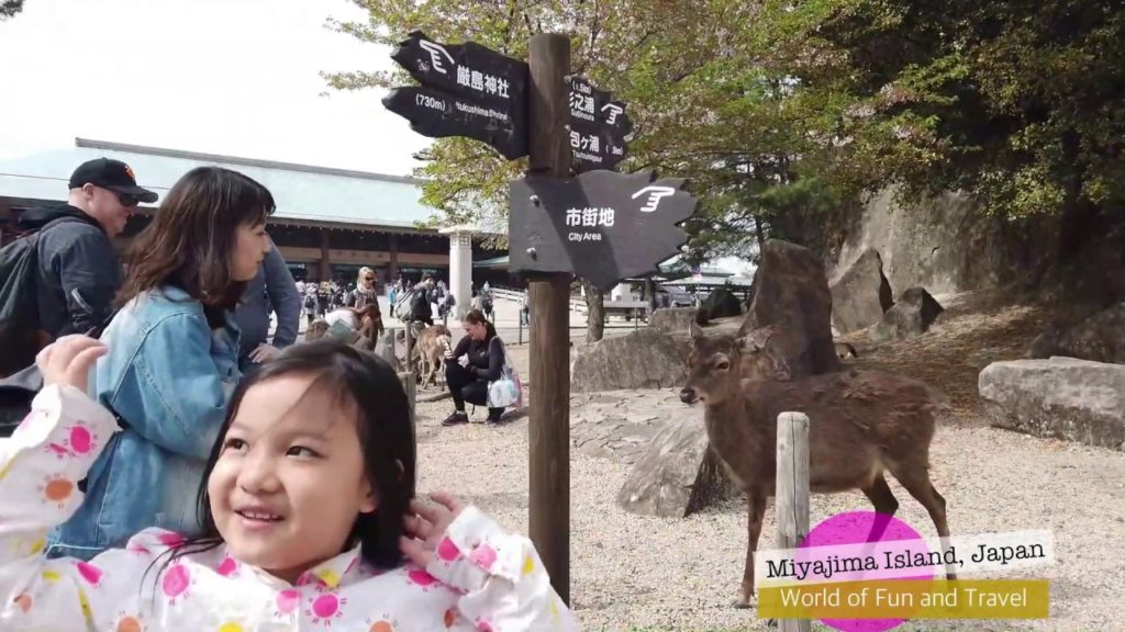 Travel to Miyajima Island, Hiroshima, Japan Travel to Miyajima Island, Hiroshima, Japan