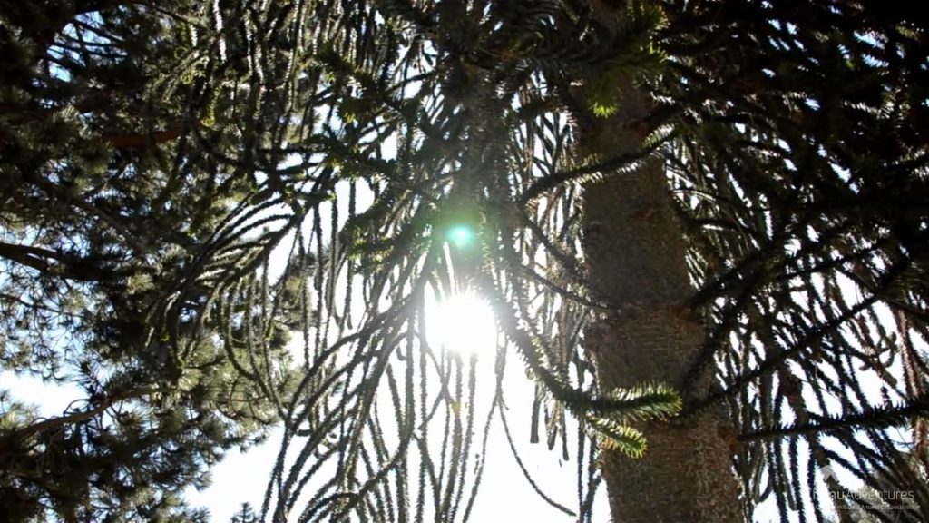 Chimu Adventures Latin America Travel Chimu Adventures Latin America Travel