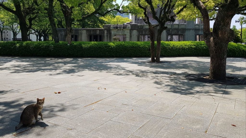 【Live】Day walk in Hiroshima park of Peace and Hiroshima castle.