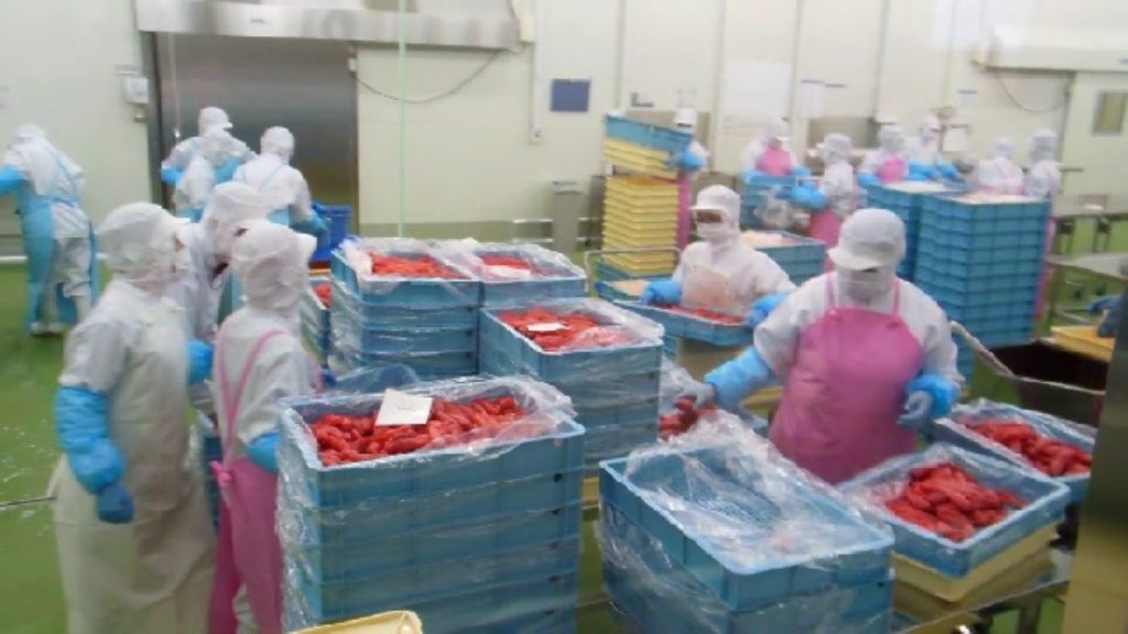Fish Egg Processing Plant in Japan