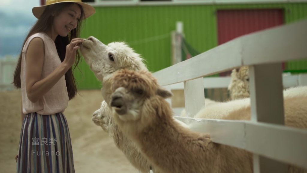 ANAクラウンプラザホテル千歳で北海道観光を満喫しませんか?| Explore Hokkaido with ANA Crowne Plaza Hotel Chitose ANAクラウンプラザホテル千歳で北海道観光を満喫しませんか?| Explore Hokkaido with ANA Crowne Plaza Hotel Chitose