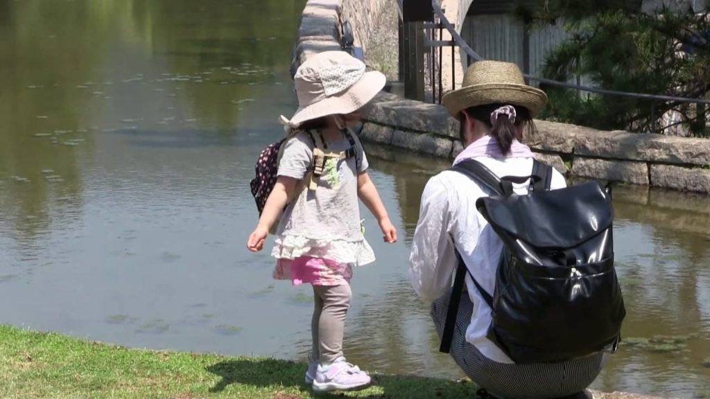 Japan Nara Sightseeing