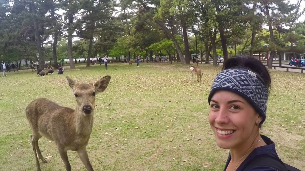 Traveling around Japan