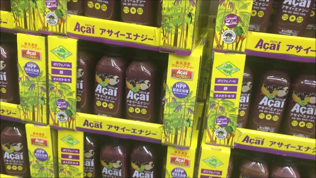 FOMOS NOVAMENTE AS COMPRAS NO COSTCO DE HAMAMATSU JAPÃO CANAL ALECS JAPAN LIFE